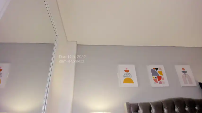 Camilagomezz – [Chaturbate] Nymph Insane Orgasm Nice – 2026-05-18 21:04:33