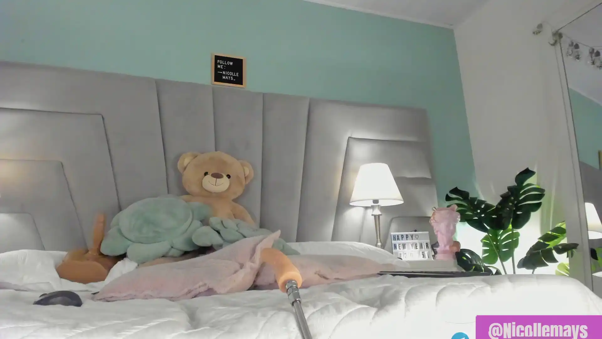 Nicollemays – [Dreamcam] Recording Amateur Dick – 2026-06-08 13:05:56