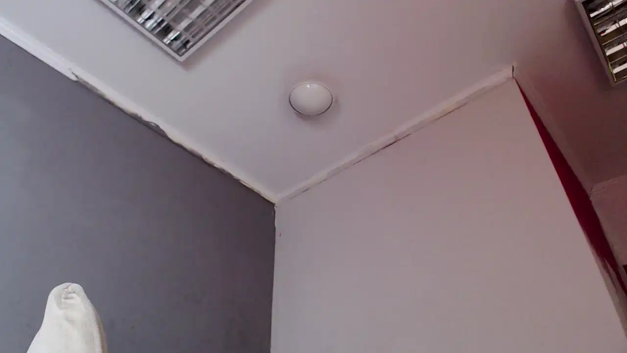 Prysuaa_ – [Showup] Crazy Goal New Video Adult – 2025-05-13 17:20:35