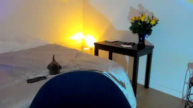 Nancy_morris – [Myfreecams] Playing On Live Webcam Perfect Body Wonderful – 2026-07-11 12:44:46
