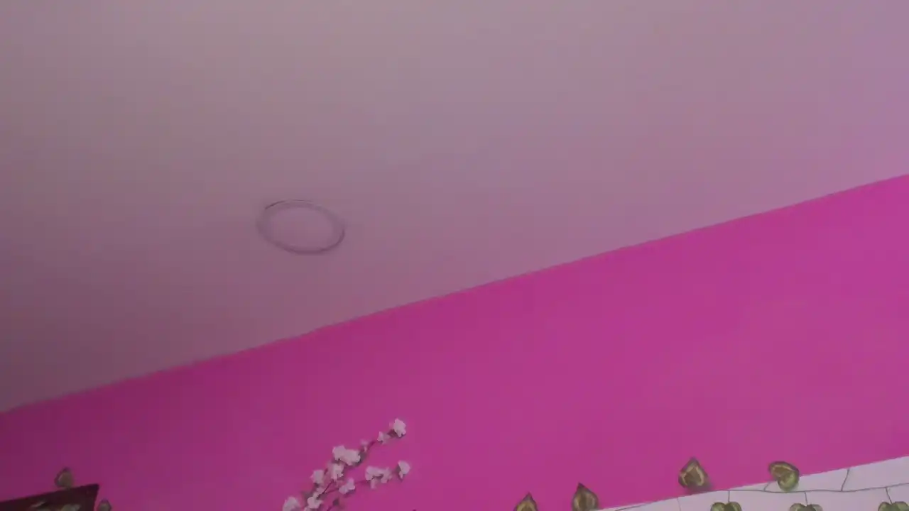 Jannelowry – [Xlovecam] Naked Free Watch Hottest Webcam Babe – 2025-10-14 08:00:35